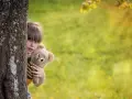 Dziesięciolatek boi się wszystkiego, ukrywa się za drzewem z pluszowym misiem, jego oczy wyrażają niepokój.