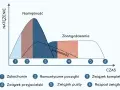 Wykres przedstawia etapy związku: od zauroczenia, przez romantyczne początki, związek kompletny, przyjacielski, pusty, aż po rozpad.