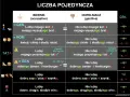 Tabela porównuje przypadki biernik i dopełniacz w liczbie pojedynczej, pokazując, która część mowy się zmienia.