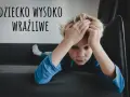 Chłopiec z rękami na głowie, wyrażający smutek. Napis "DZIECKO WYSOKO WRAŻLIWE" sugeruje, że może to być wyraz jego emocji.
