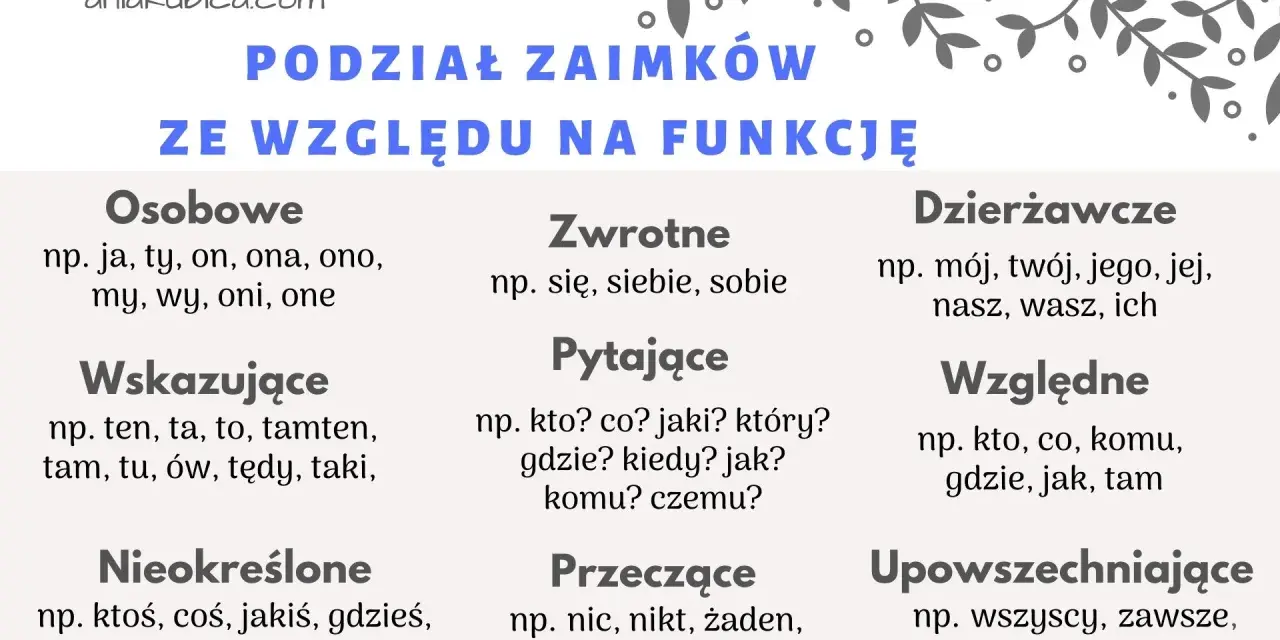 Podział zaimków ze względu na funkcję: osobowe, zwrotne, pytające, wskazujące, nieokreślone, przeczące, dzierżawcze, względne, upowszechniające.
