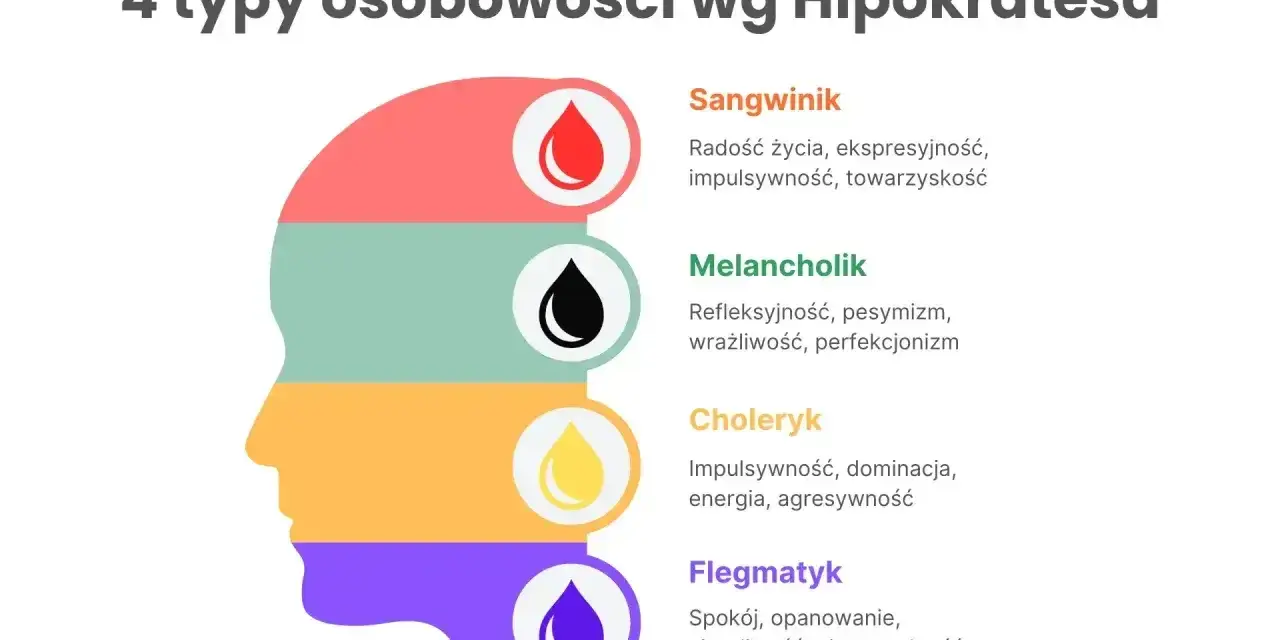 Flegmatyk to osoba spokojna, opanowana, cierpliwa i niezawodna. Grafika przedstawia 4 typy osobowości wg Hipokratesa.