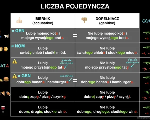Tabela porównuje przypadki biernik i dopełniacz w liczbie pojedynczej, pokazując, która część mowy się zmienia.