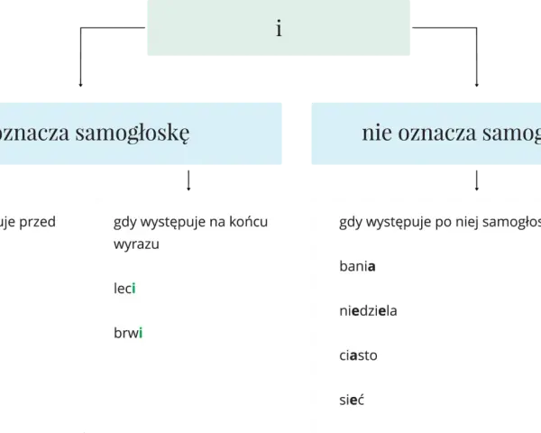 Diagram wyjaśnia, kiedy litera "i" oznacza samogłoskę (np. w słowach bez samogłosek jak "zima", "nic", "piłka", "leci", "brwi") a kiedy nie (np. w "bania", "niedziela", "ciasto", "sieć").