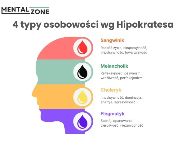 Flegmatyk to osoba spokojna, opanowana, cierpliwa i niezawodna. Grafika przedstawia 4 typy osobowości wg Hipokratesa.