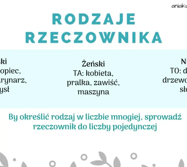 Rodzaje rzeczownika: męski (ten: chłopiec), żeński (ta: kobieta), nijaki (to: dziecko). Poznaj, co oznaczają rzeczowniki!