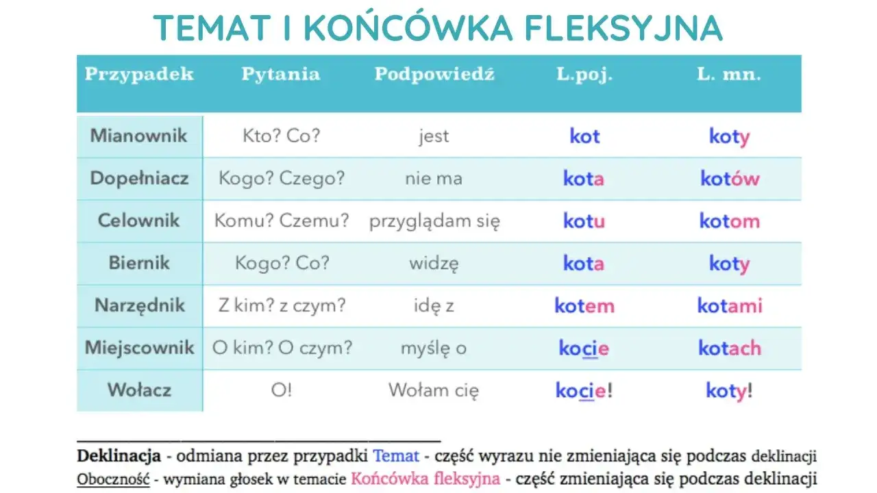 Tabela odmiany rzeczownika