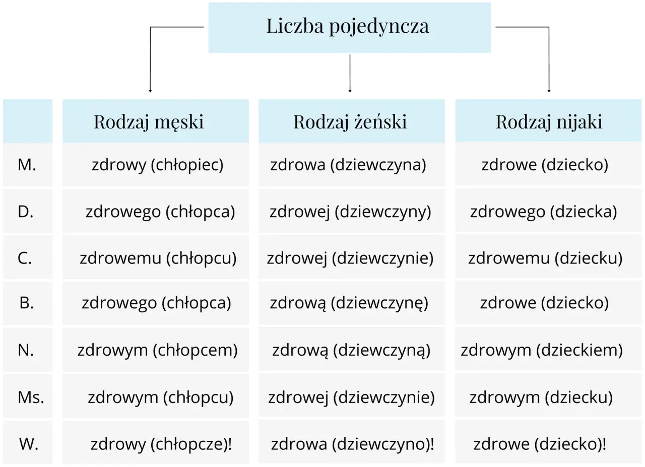 Przykłady przymiotnik z rzeczownikiem w liczbie pojedynczej: zdrowy chłopiec, zdrowa dziewczyna, zdrowe dziecko.